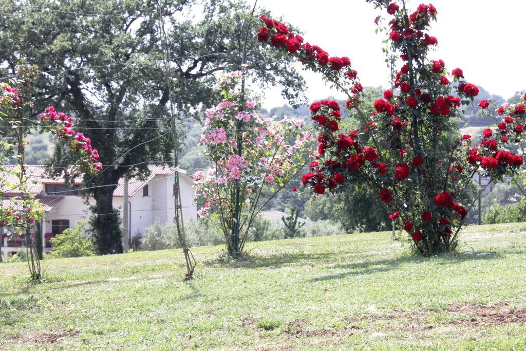 Agriturismo Nociquerceto Tarano Dış mekan fotoğraf