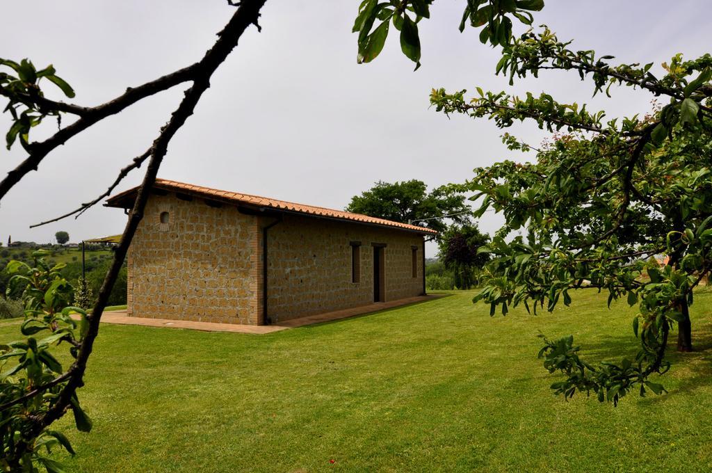 Agriturismo Nociquerceto Tarano Dış mekan fotoğraf